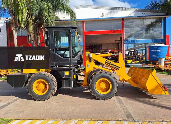 Pala Cargadora Frontal Michigan R45IV 3