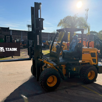 🏗️ ¡STOCK DISPONIBLE! Autoelevador Michigan modelo T25-40 6