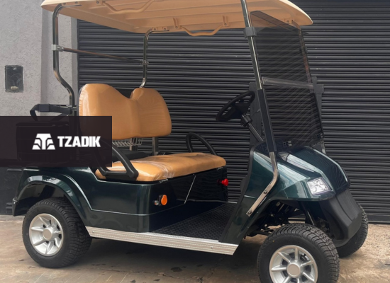 ¡NUEVO INGRESO! VEHÍCULO ELÉCTRICO 0km FULL EAGLE (Modelo: Golf 2 pasajeros)