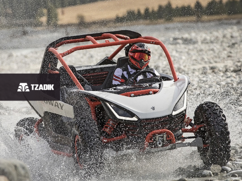 Segway Villain SX 10 2