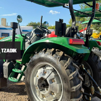 Tractor Chery Bylion Frutero Rd504 6