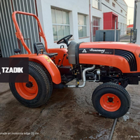 Tractor Hanomag 300P Parquero 2