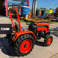 Tractor Hanomag 304A 2