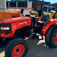 Tractor Hanomag 500 Parquero 4