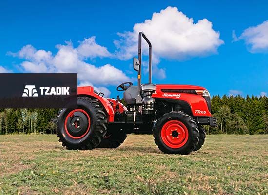 Tractor Hanomag FR 65 Viñatero/frutero 6