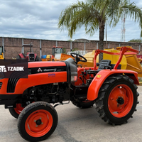 Tractor Hanomag STARK 300A - 25HP - ROOPS 4