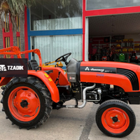 Tractor Hanomag STARK 300A - 25HP - ROOPS 2