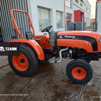 Tractor Hanomag STARK 300P - 25HP - 2WD - Parquero 5
