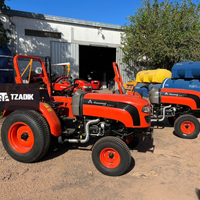 Tractor Hanomag STARK 300P - 25HP - 2WD - Parquero 4